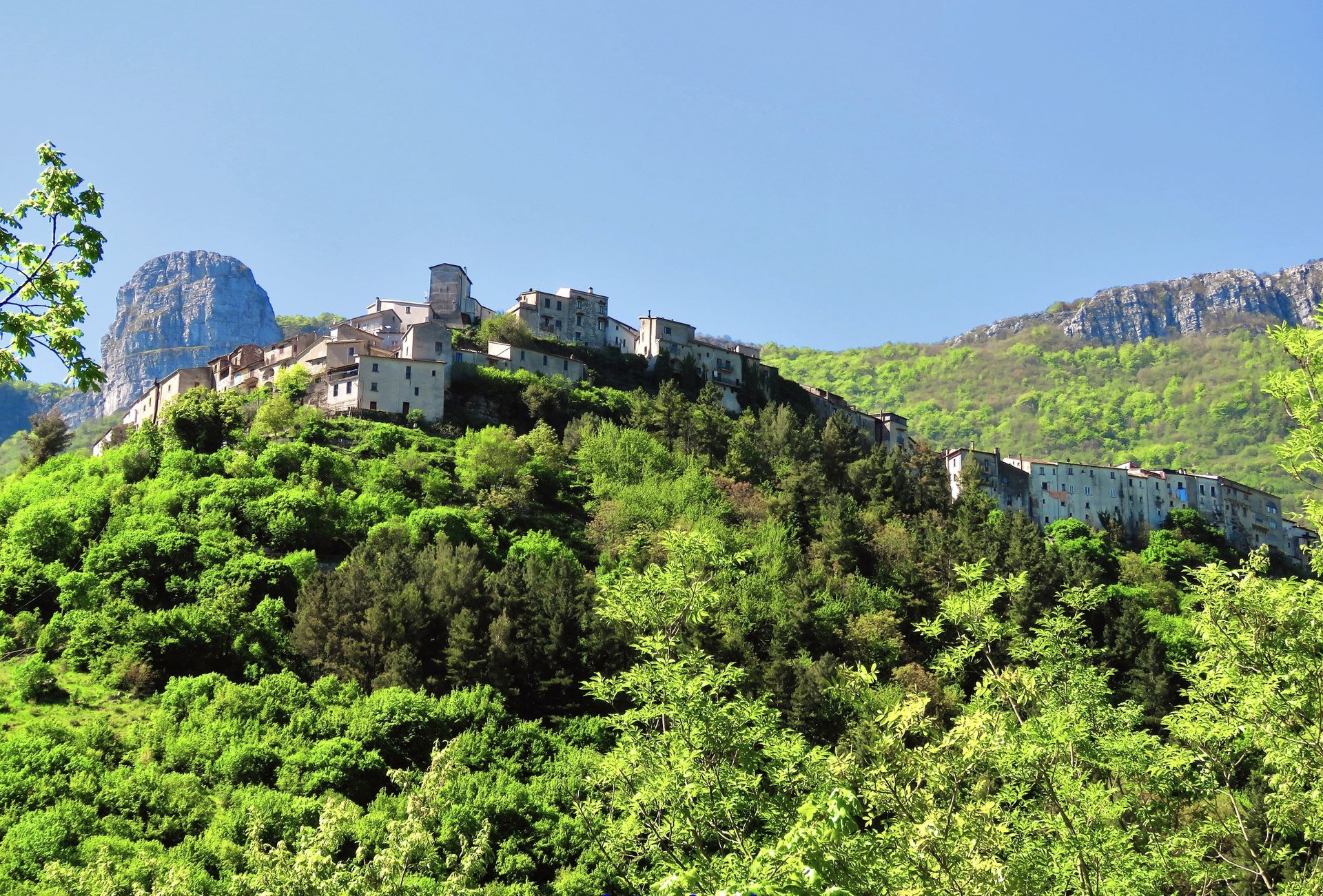 Petina